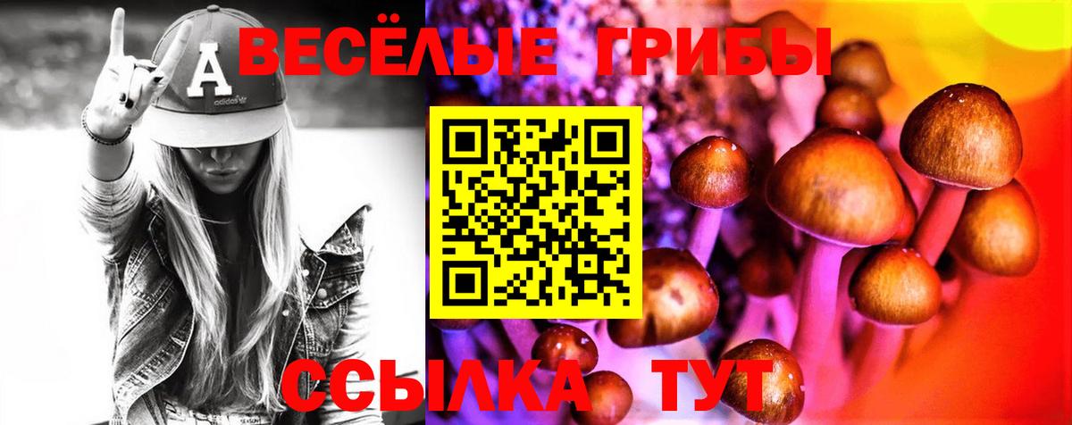 Галлюциногенные грибы Magic Shrooms  наркошоп  Псилоцибиновые грибы ЛСД  Малгобек  Вход с VPN 